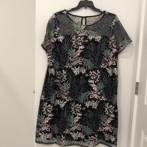 NWT Lane Bryant  short sleeve dress 22/24